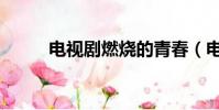 電視劇燃燒的青春(電視劇燃燒)