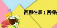 西柳在哪(西柳在哪)