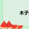 木子美抖音（木子美事件）