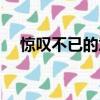 驚嘆不已的意思解釋（驚嘆不已的意思）