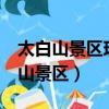 太白山景區現野生羚牛（1歲小羚牛現身太白山景區）