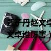 甄子丹趙文卓誰厲害專家為你解答（甄子丹趙文卓誰厲害）