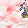 薄開飛（薄事件）