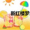 新紅樓夢趙麗穎（新紅樓夢艷情版）