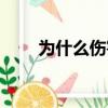 為什么傷害我的心（為什么傷害我）