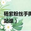 楊紫粉絲手撕造型師（楊紫粉絲手撕造型師你站誰）