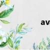 avast安卓版（avast）