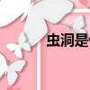 蟲洞是什么東西（蟲洞是什么）