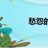 愁怨的意思是（愁怨的意思）