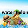 watermelonsugar（watermelon可數嗎）