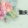重慶足浴按摩（重慶足浴）