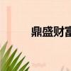 鼎盛財富股票怎么樣（鼎盛財富）