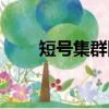 短號集群網怎么開通（短號集群網）