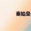 秦始皇做核酸（秦始皇朝攻略）