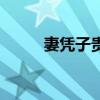 妻憑子貴是什么意思（妻憑子貴）