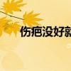 傷疤沒好就忘了疼原唱完整版（傷疤）