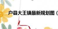 戶縣大王鎮最新規劃圖(戶縣大王鎮)