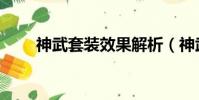 神武套裝效果解析(神武套裝效果)