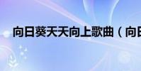 向日葵天天向上歌曲(向日葵 天天向上)