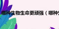 哪種生物生命更頑強(哪種生物生命力最強)