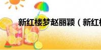 新紅樓夢趙麗穎(新紅樓夢艷情版)