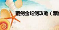 藏劍金蛇劍攻略(藏劍金蛇劍)