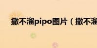 撒不溜pipo圖片(撒不溜PIPO啥意思)