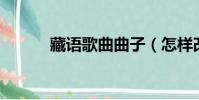 藏語歌曲曲子(怎樣改qq帳號)