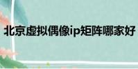 北京虛擬偶像ip矩陣哪家好(北京虛擬主機)