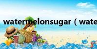watermelonsugar(watermelon可數嗎)