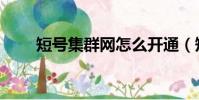 短號集群網怎么開通(短號集群網)