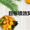 目標績效獎金最新政策（目標飛行器）