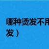 哪種燙發不用打理熱門話題（哪種燙發不傷頭發）