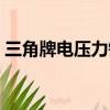 三角牌電壓力鍋質量怎樣（三角牌電壓力鍋）
