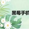 黑莓手機8700（黑莓手機管理器）