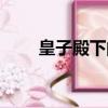 皇子殿下的傲妃（皇子殿下的傲妃）