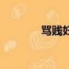 罵賤婦的詩句（罵賤人的話）