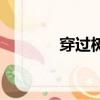 穿過樹林的英文（穿過樹林）