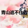 青山遮不住的下一句（青山遮不住的下一句）