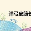 彈弓皮筋長度怎么選（彈弓皮筋長度）