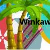 Winkawaks 1 45最終中文珍藏版
