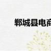 鄲城縣電商淘寶平臺（鄲城縣電業局）