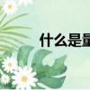 什么是量詞幼兒園（什么是量詞）