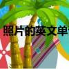 照片的英文單詞復數形式（照片的英文單詞）