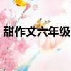甜作文六年級550字（甜 作文六年級500字）