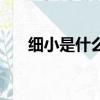 細小是什么病傳染人嗎（細小是什么）