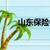 山東保險信息網（山東保險信息網）