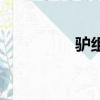 驢組詞和部首（驢組詞）