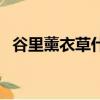 谷里薰衣草什么時候去合適（谷里薰衣草）