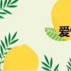 愛情諾言（愛情諾言）